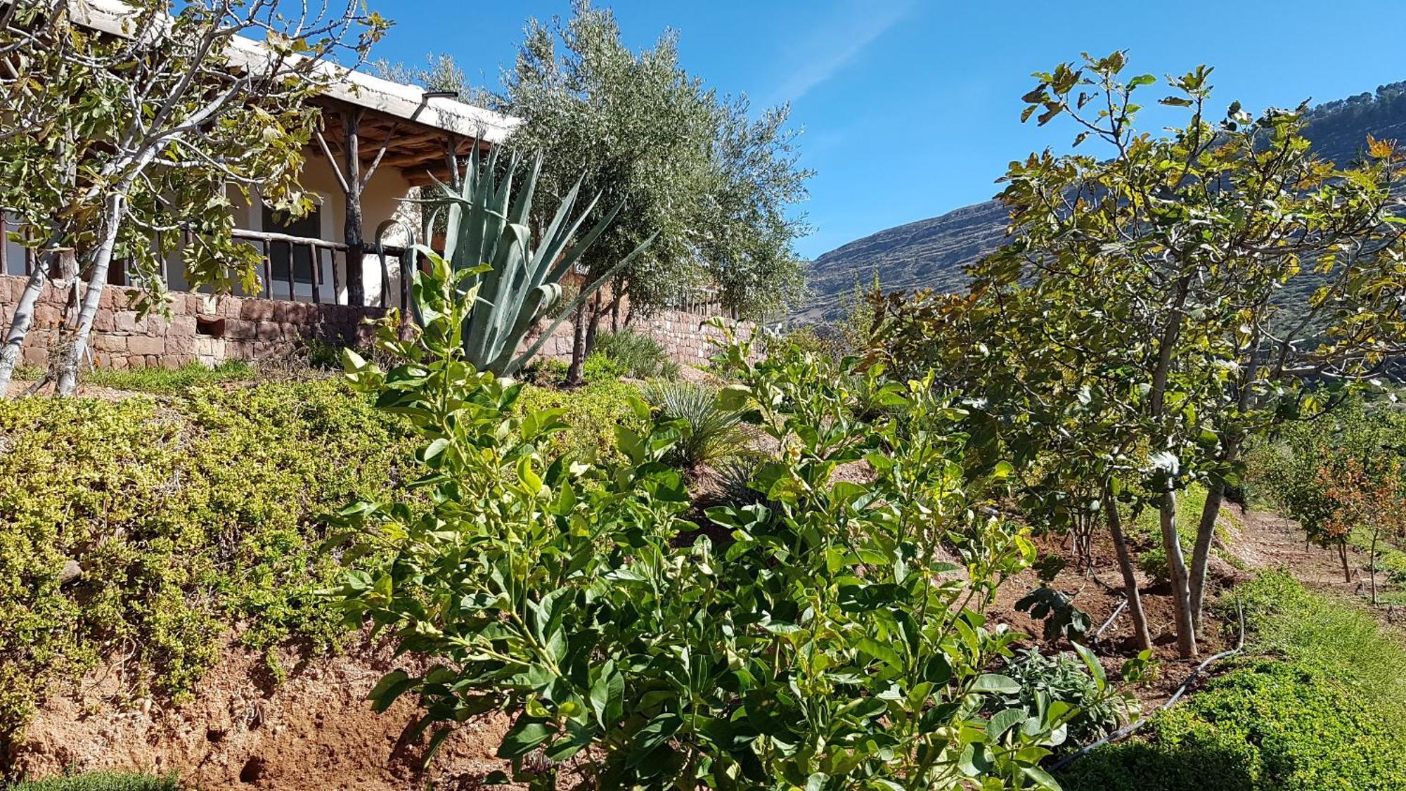 Le Douar Berbere (Adults Only) Villa Ourika Exteriör bild